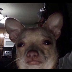 Meet your Posher, Diego